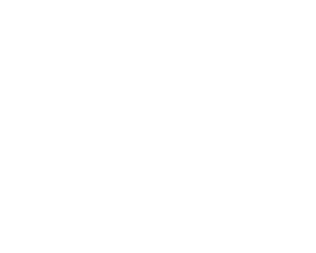 Logo Lapidare — for future
